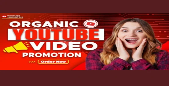 I will do organic youtube video promotion of your channel