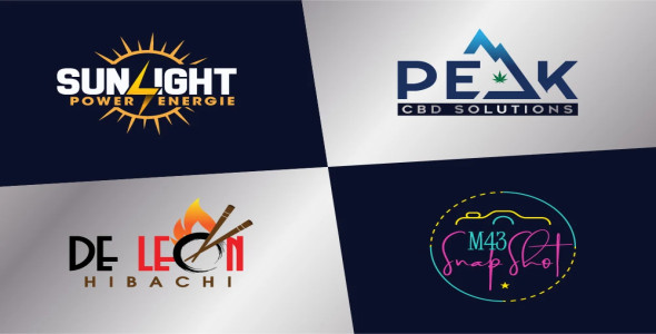 I will do business or brand logo design in 12 hours with copyrights
