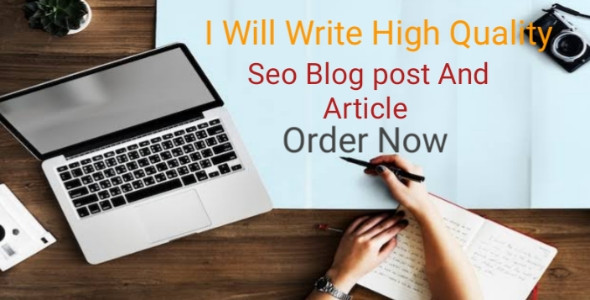 I will write high quality SEO blog posts and articles.