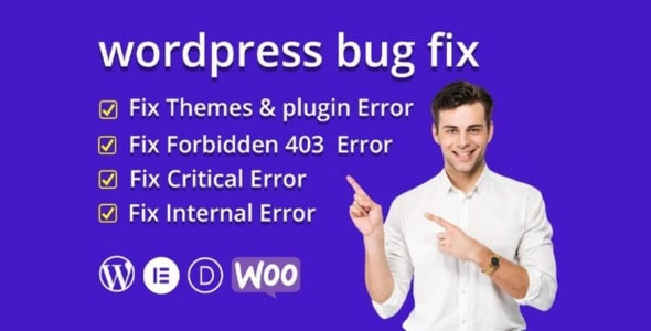 I will fix WordPress website issues, errors, and bugs