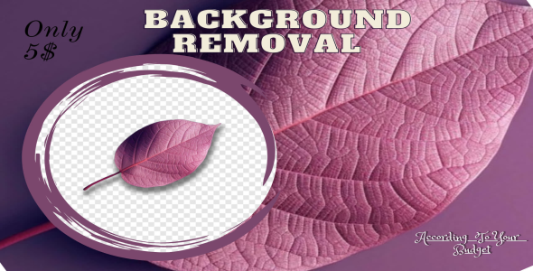 I will do background remove for your pictures or photos