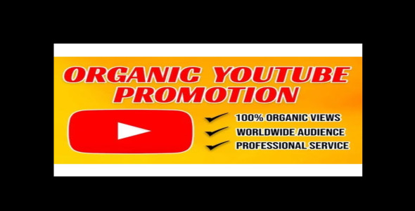 I will do organic youtube channel promotion for monetization