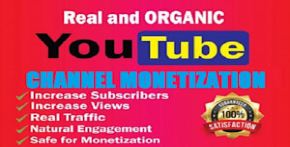 I will organic youtube promotion and channel monetization organicallyYo