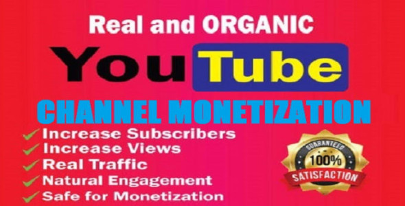 I will do fast youtube channel promotion via google ads to gain views and monetize