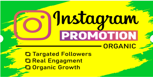 I will do super fast organic instagram growth to grow organic followers