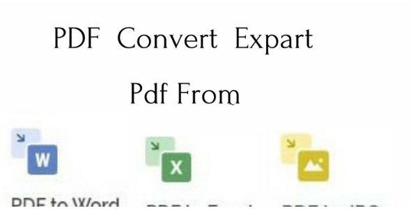 I will convert pdf to word, Excel, jpg
