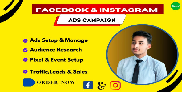 I will be your facebook and instagram ads campaign manage