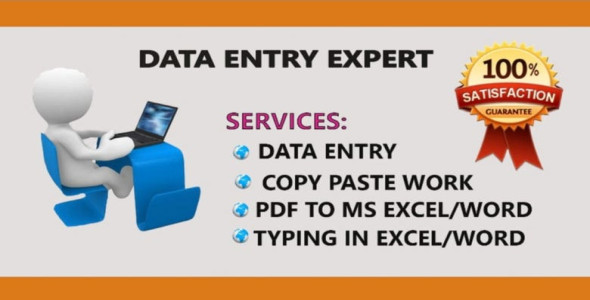 I will do data entry, copy paste, web research, excel data entry, pdf to excel