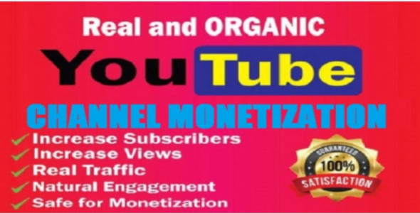 I will do organic youtube promotion and channel monetization