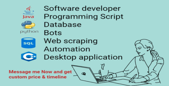 I will script java python bot database coding programming project assignment developer