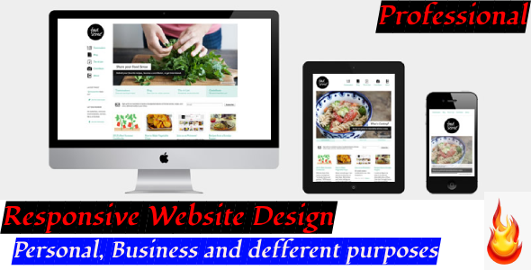 I will provide responsive website design, web development service.
