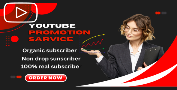 I will do provide youtube subscribers for monitize your channel
