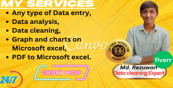 .I am super expert in data entry,data analysis,data cleaning and graph and charts on Microsoft excel.