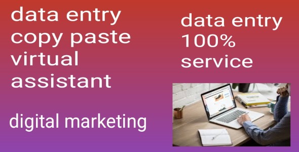 Data entry copy paste virtual assistant