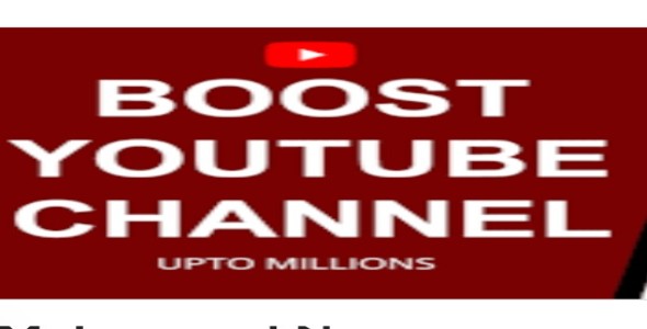 I will do youtube channel promotion and monetization organically