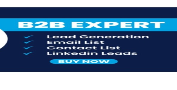 I will Do B2B Lead Generation, Lead Prospecting, List Building, and Email List Building